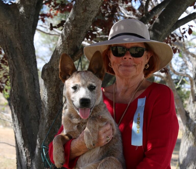 Heelersridge Gympie Stinger (Nettle)