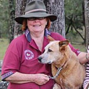 Aust Dual Ch (T) Heelersridge Dreamtime